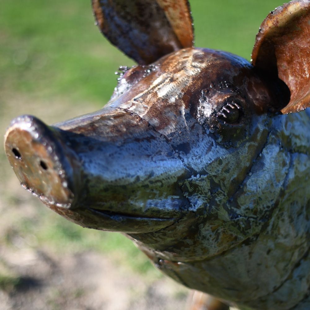 close-up of the Recycled Metal Pig"s Head