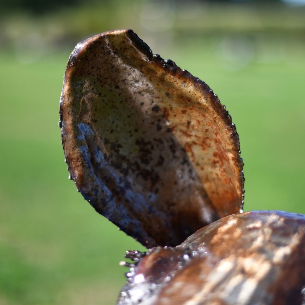 Rustic Finish On The Pig Sculpture
