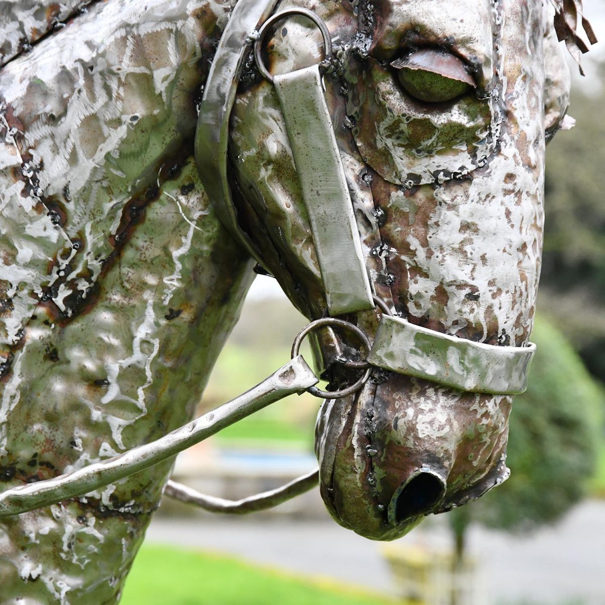 Close-up of the Face of the Horse