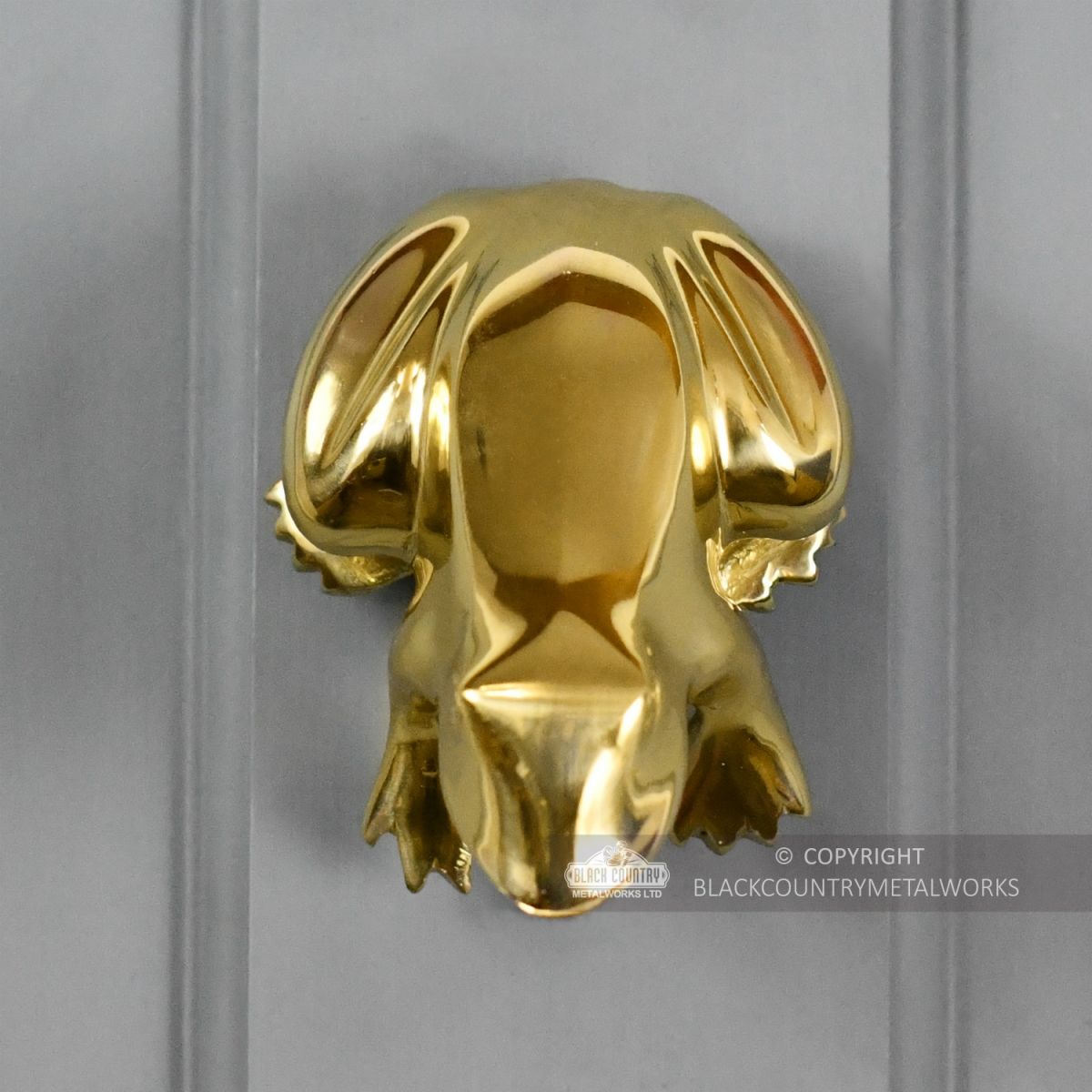 Polished Brass Frog Door Knocker Fitted On Door