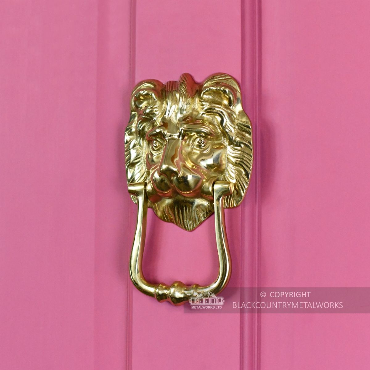 Polished Brass Mayfair Lion Door Knocker Fitted To Front Door
