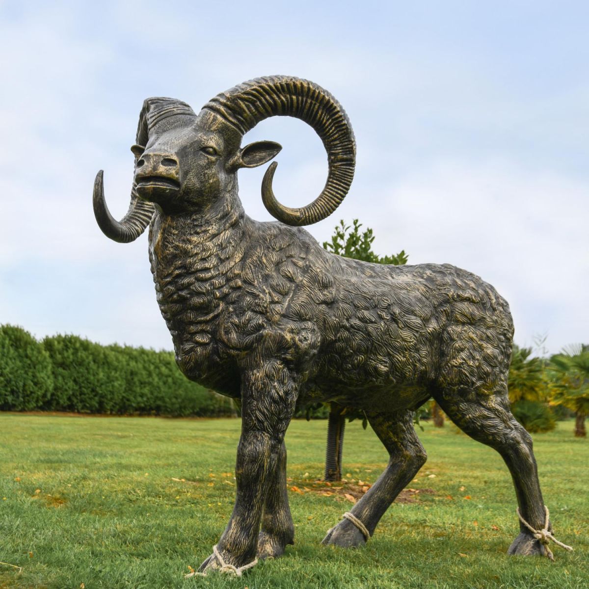 Brushed Gold Recycled Cast Aluminium "Chrysomallus" Ram Sculpture