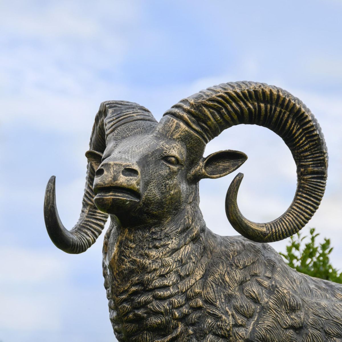 Close-Up of Brushed Gold Recycled Cast Aluminium "Chrysomallus" Ram Sculpture