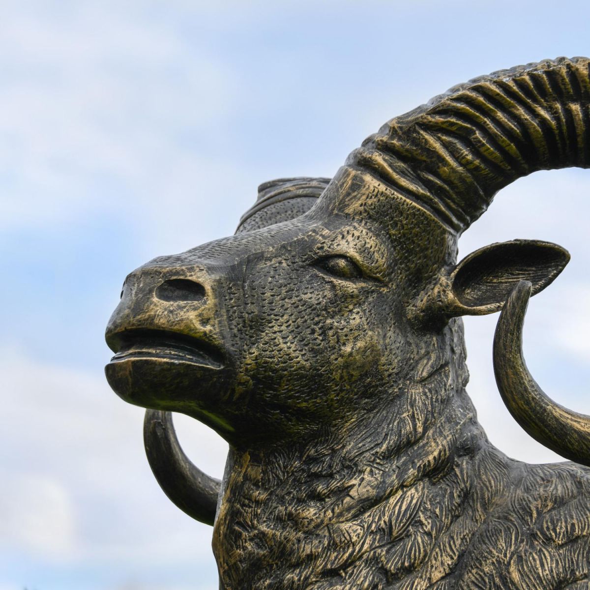 Close-Up of Golden Ram"s Head on Brushed Gold Sculpture