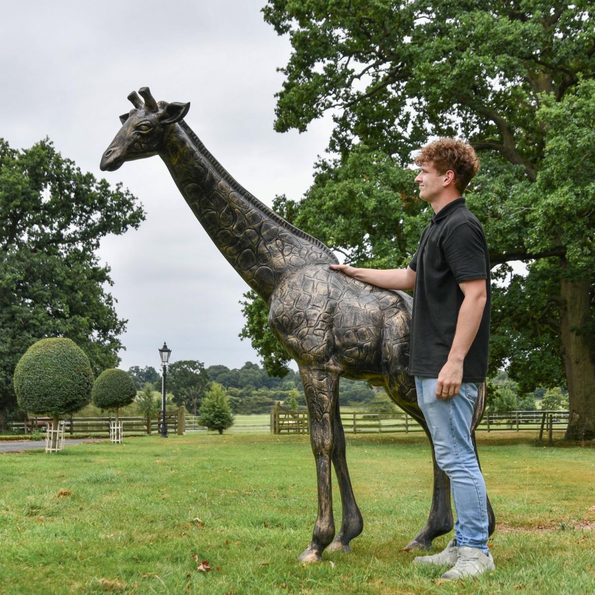 Scale Shot of Recycled Cast Aluminium Brushed Gold "Sahel" Giraffe Sculpture