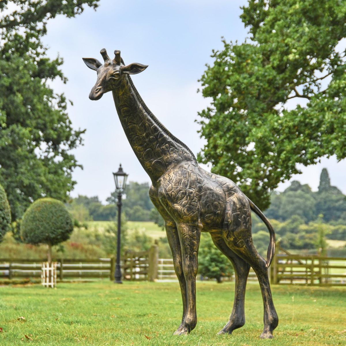 Recycled Cast Aluminium Brushed Gold "Sahel" Giraffe Sculpture