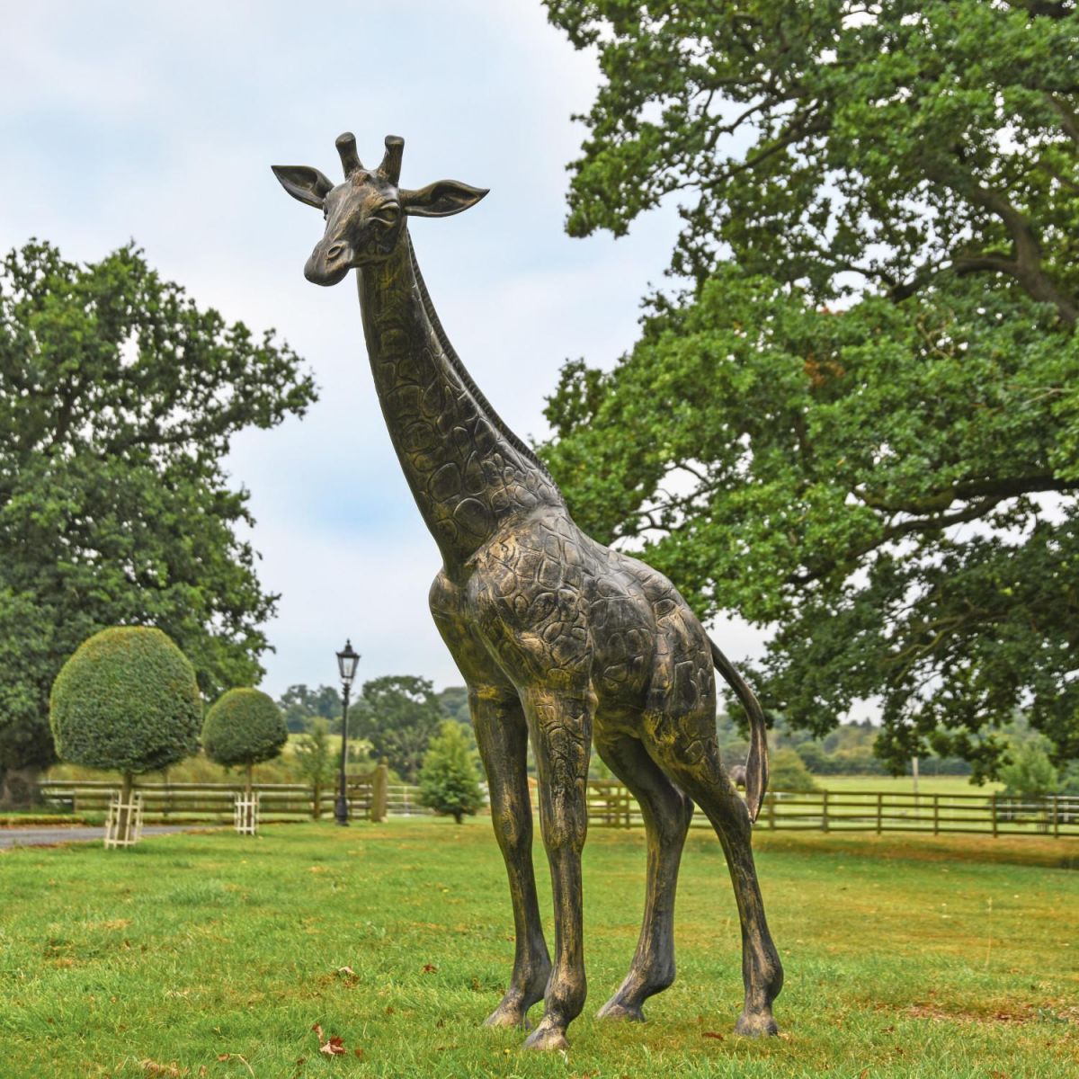 Recycled Cast Aluminium Brushed Gold "Sahel" Giraffe Sculpture in Situ