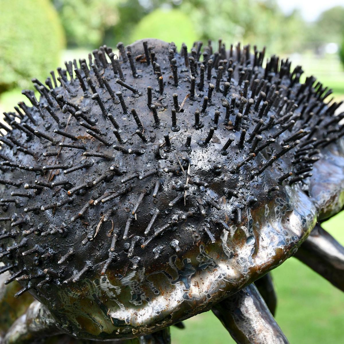 Spikey Metal Nose on the Hippo Sculpture