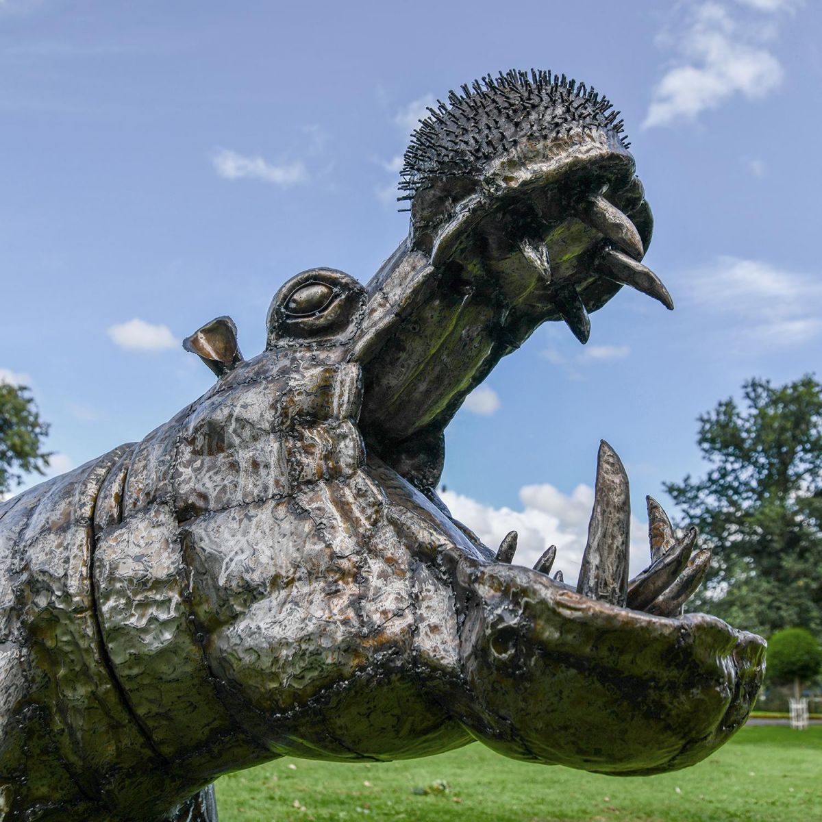 View of the Side of the Hippos Head 