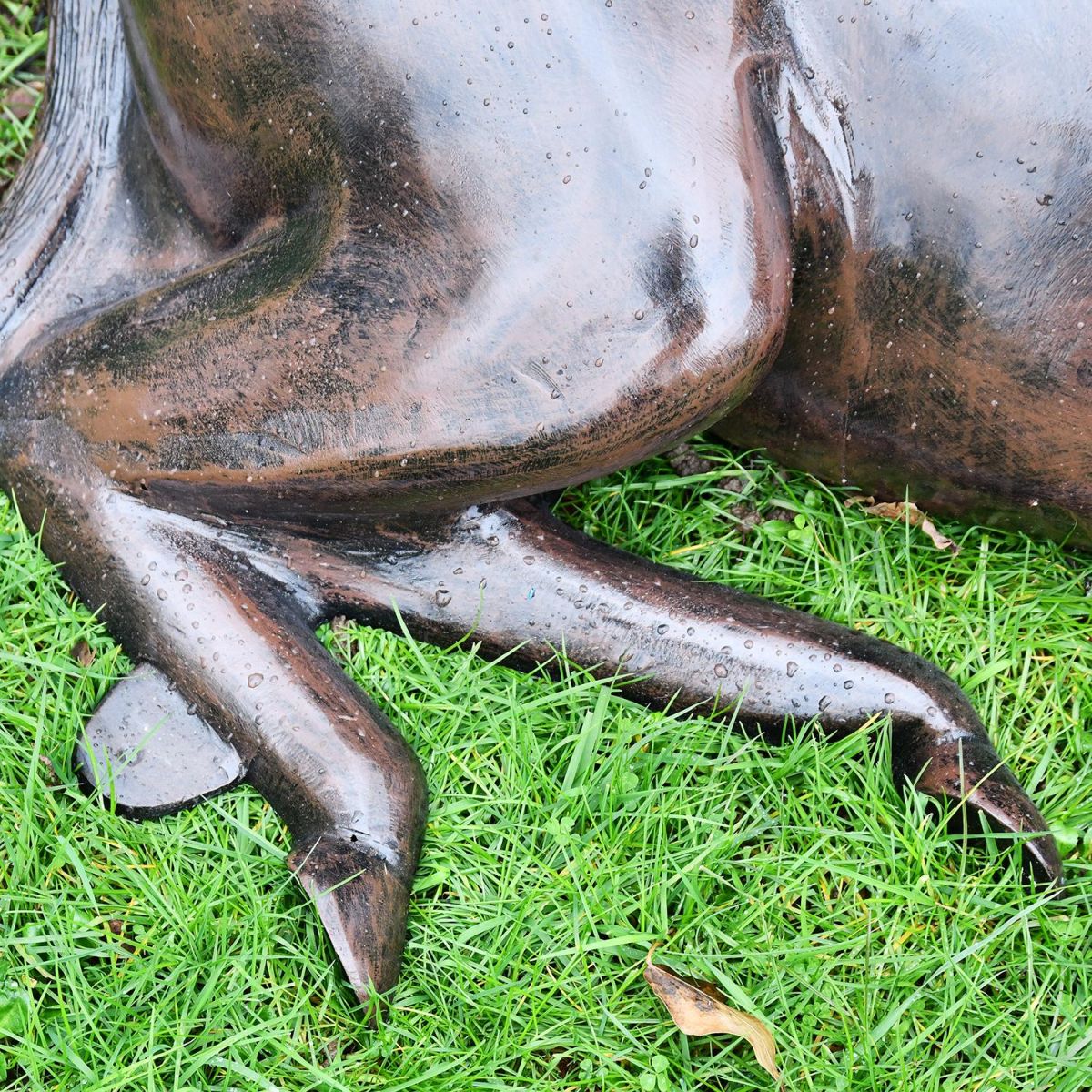 Legs on the Foal