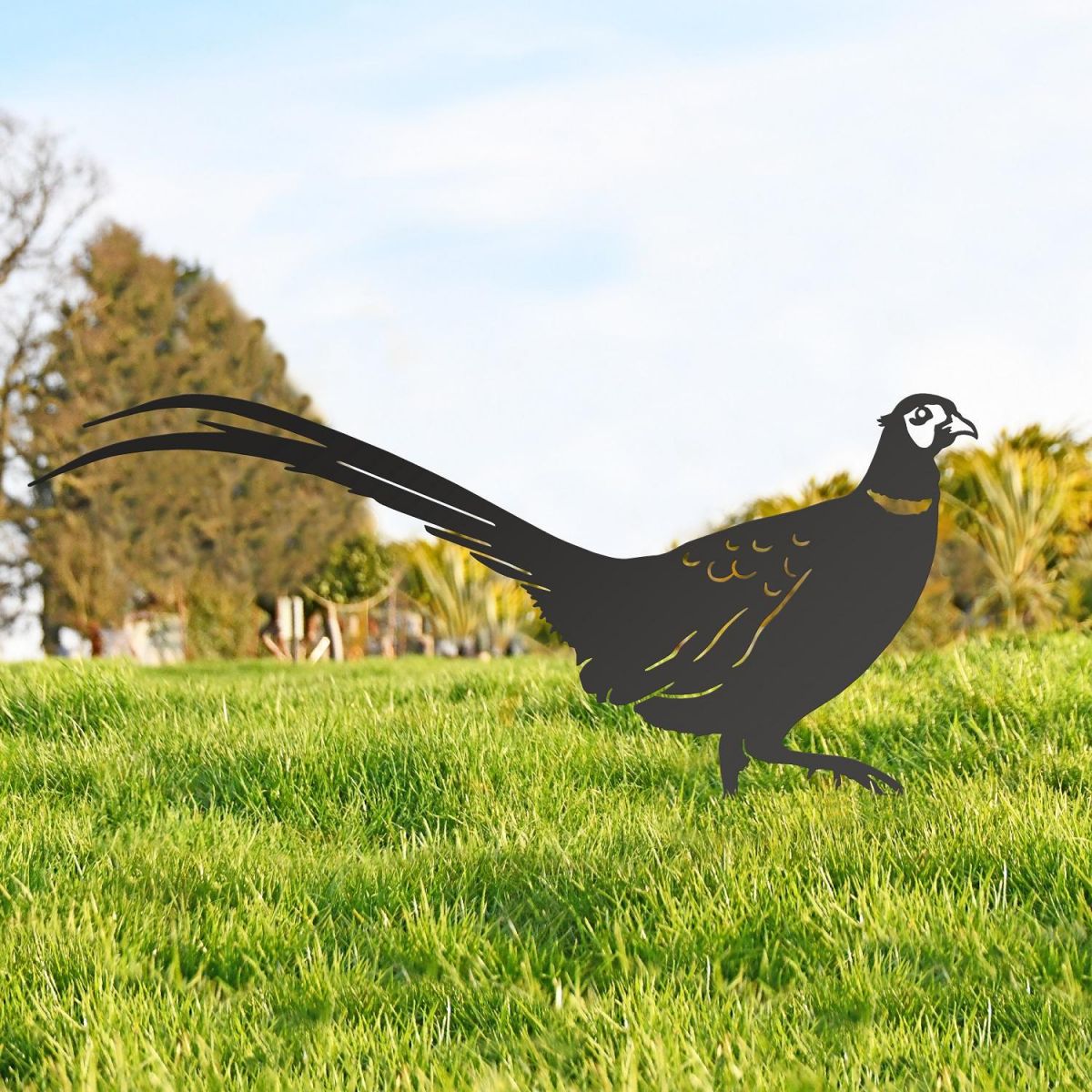 Black Ring-necked Pheasant Silhouette 