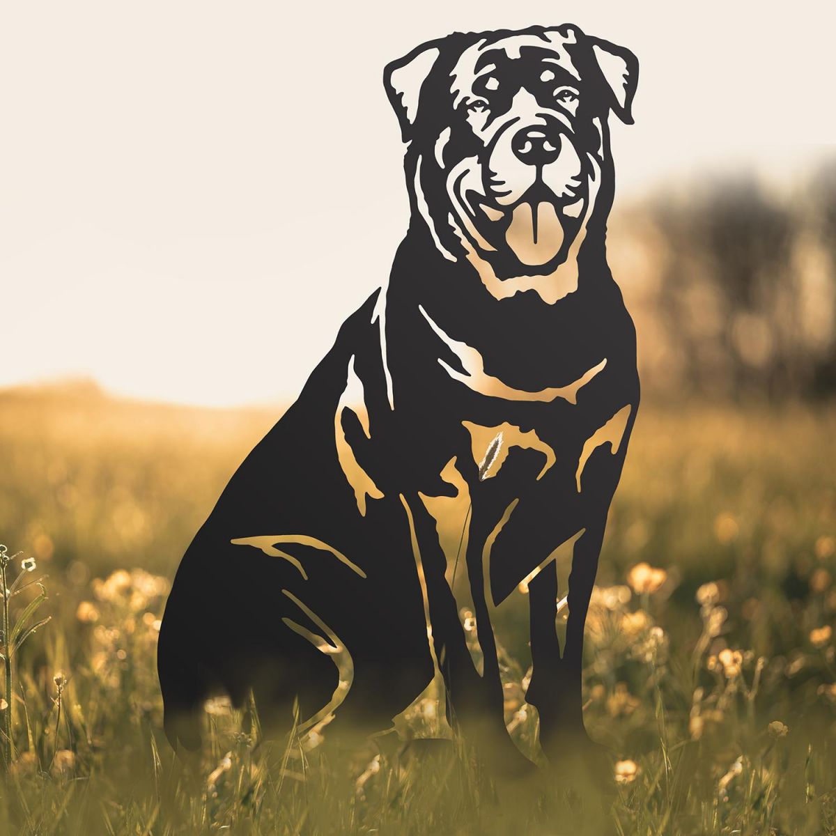 Rottweiler Silhouette in Situ in a Field