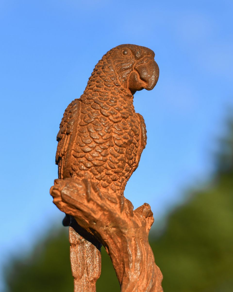 Side View Of Rustic Cast Iron "Parrot On Branch" Garden Sculpture