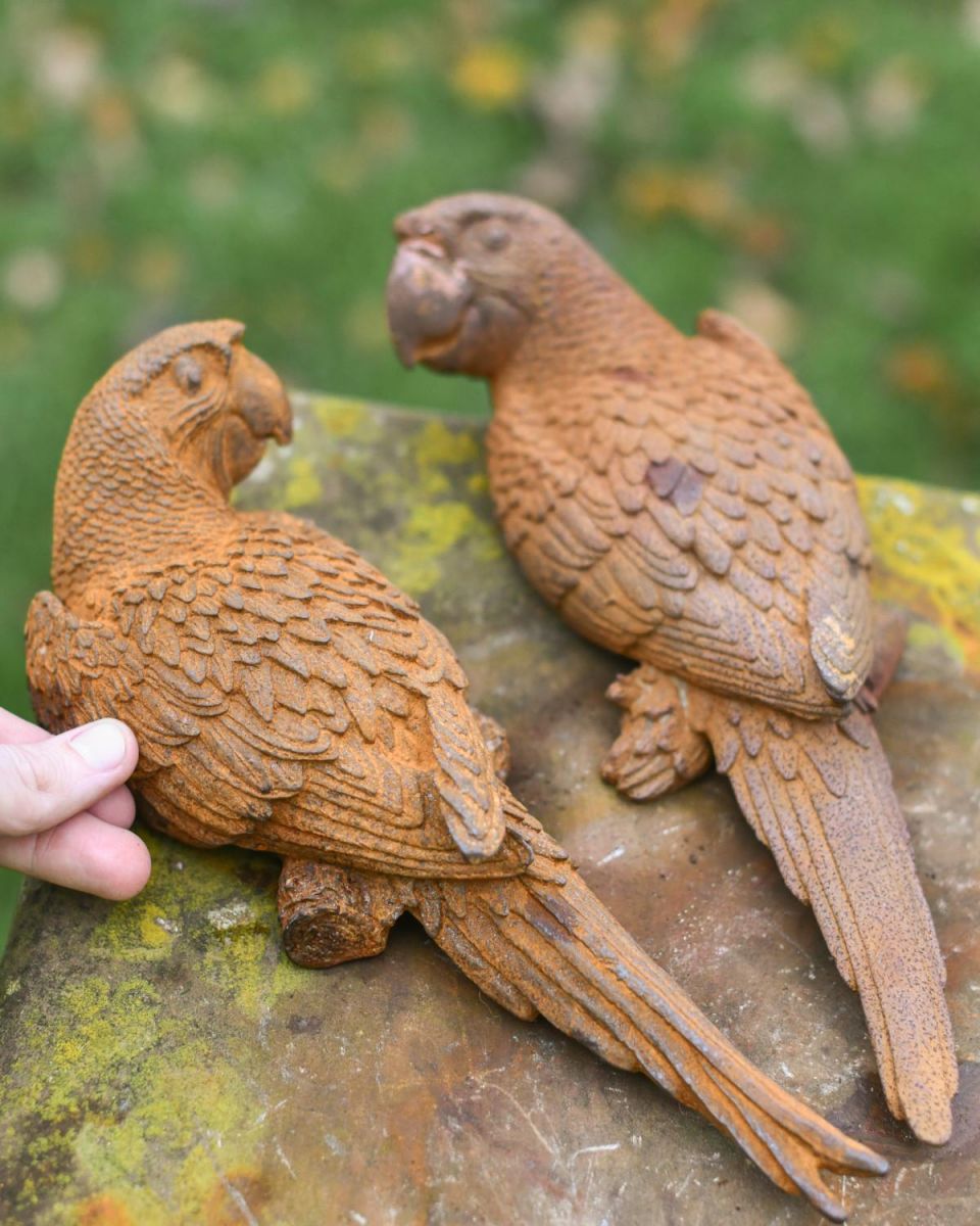 Scale Shot of Rustic Cast Iron "Parrot Pair" Outdoor Garden Sculpture