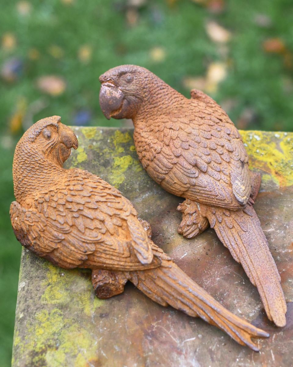 Rustic Cast Iron "Parrot Pair" Outdoor Garden Sculpture in Situ