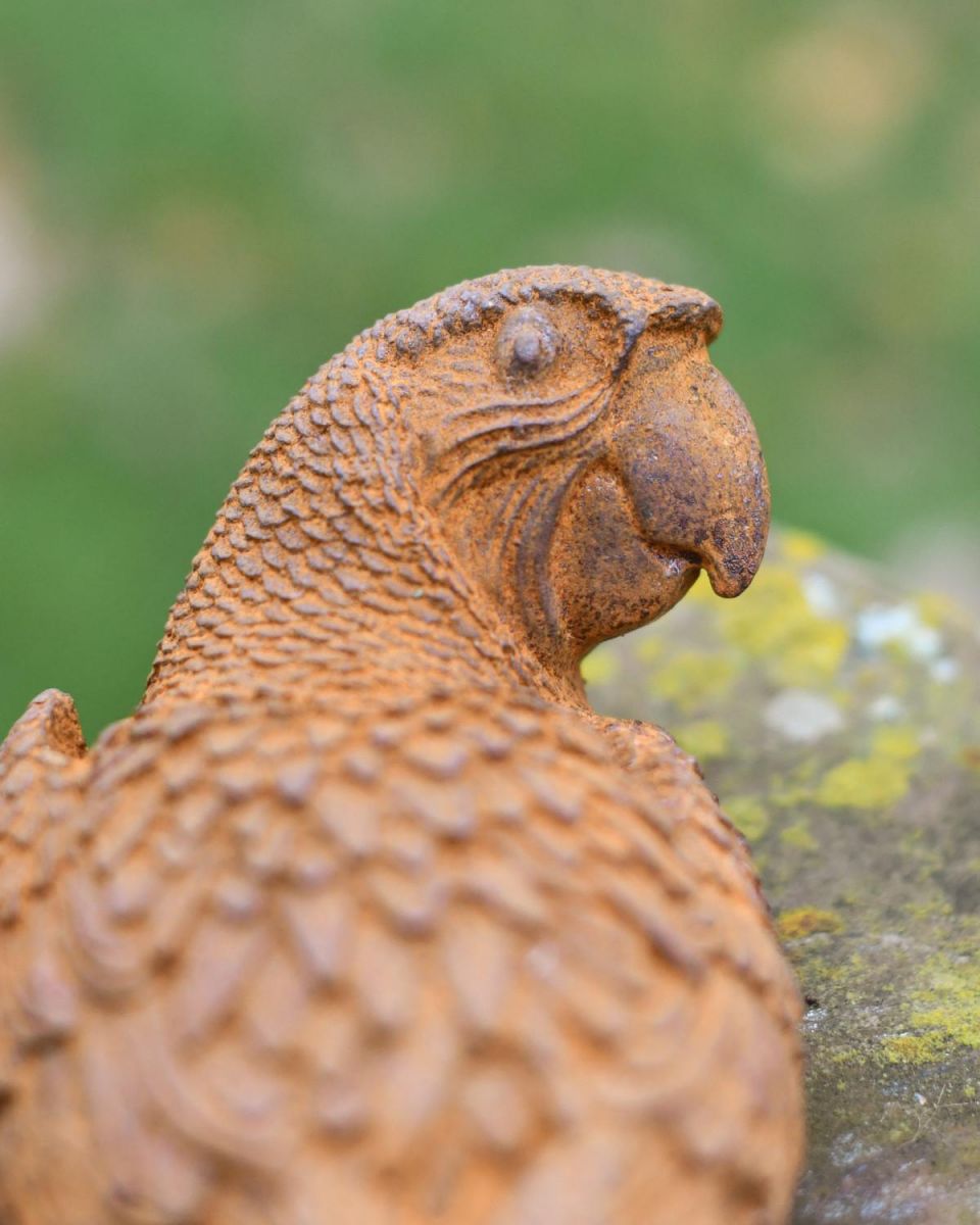 Close-Up of Parrot Outdoor Garden Sculpture