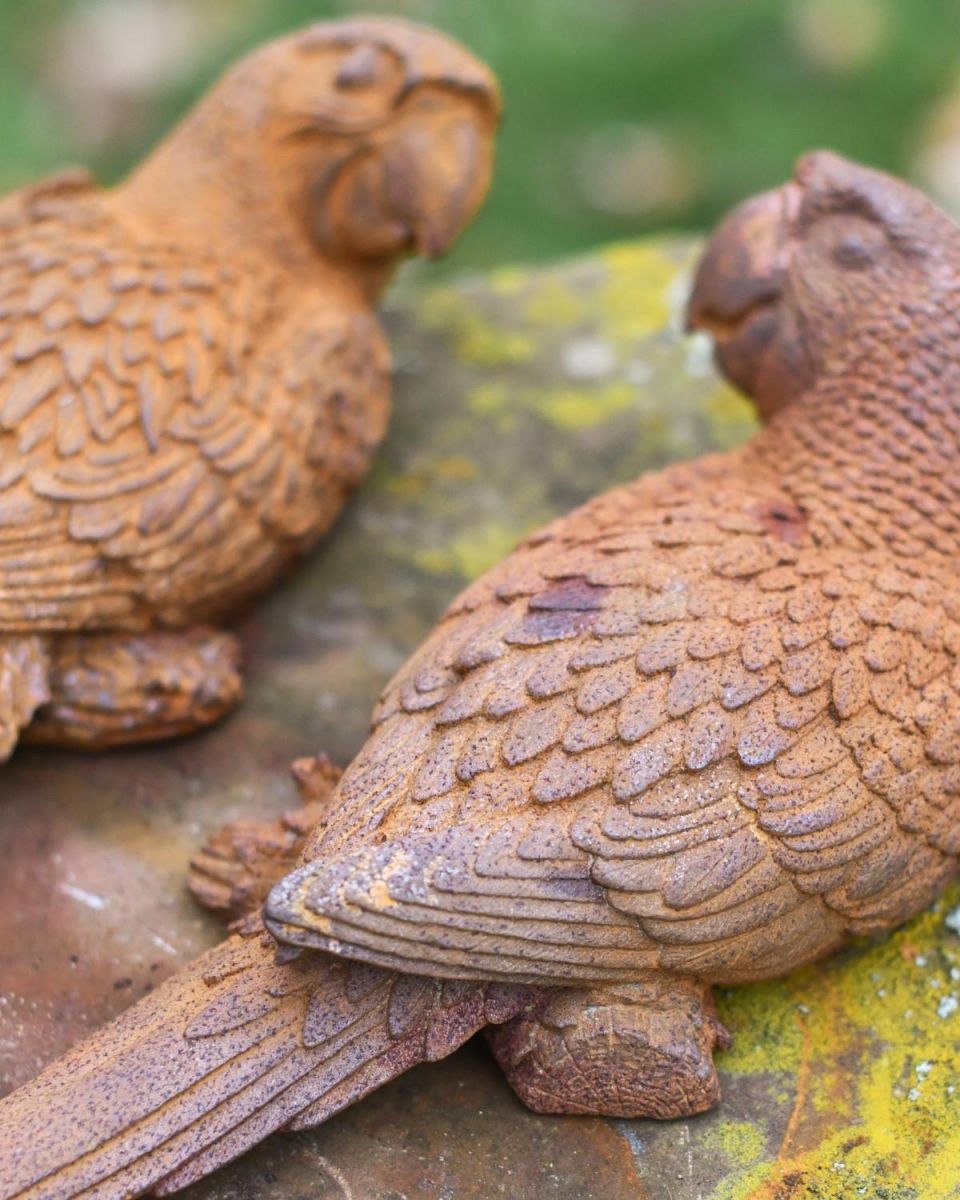 Close-Up of Cast Iron Parrot Pair Garden Sculpture