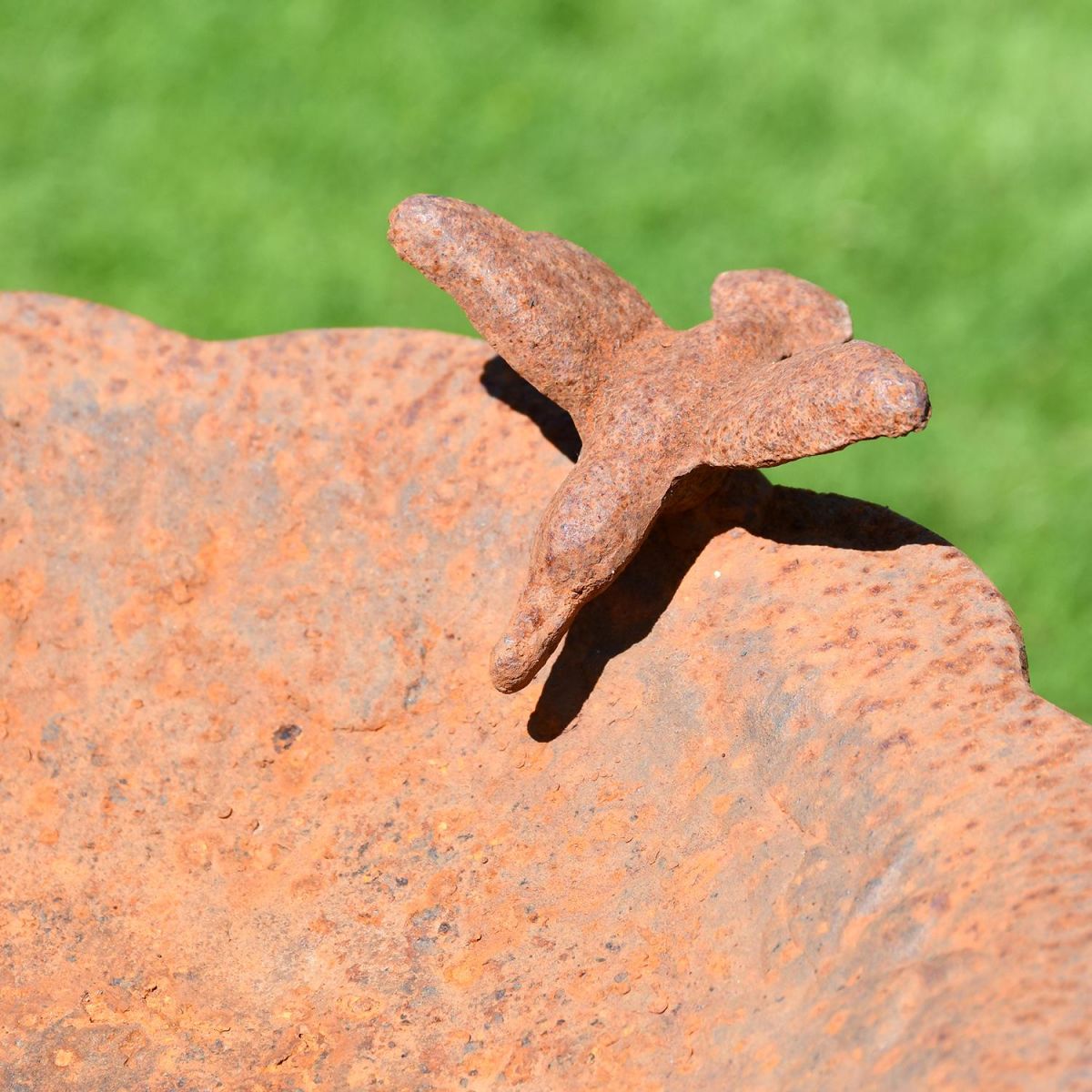 Close-up of the Bird on the Top of the Rustic Cherub Bird Bath