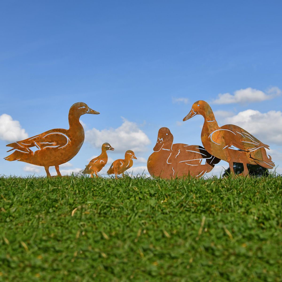 Rustic Family of Ducks Silhouette in Situ