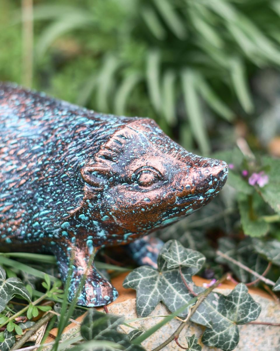 Close-Up of Facial Detail of Hedgehog Sculpture