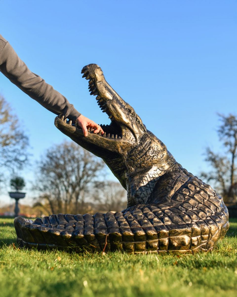 Scale image of black and gold cast aluminium alligator sculpture