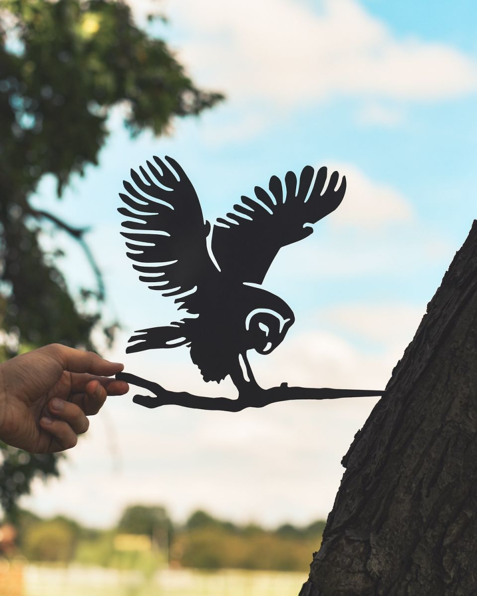 Scale image of black barn owl tree spike