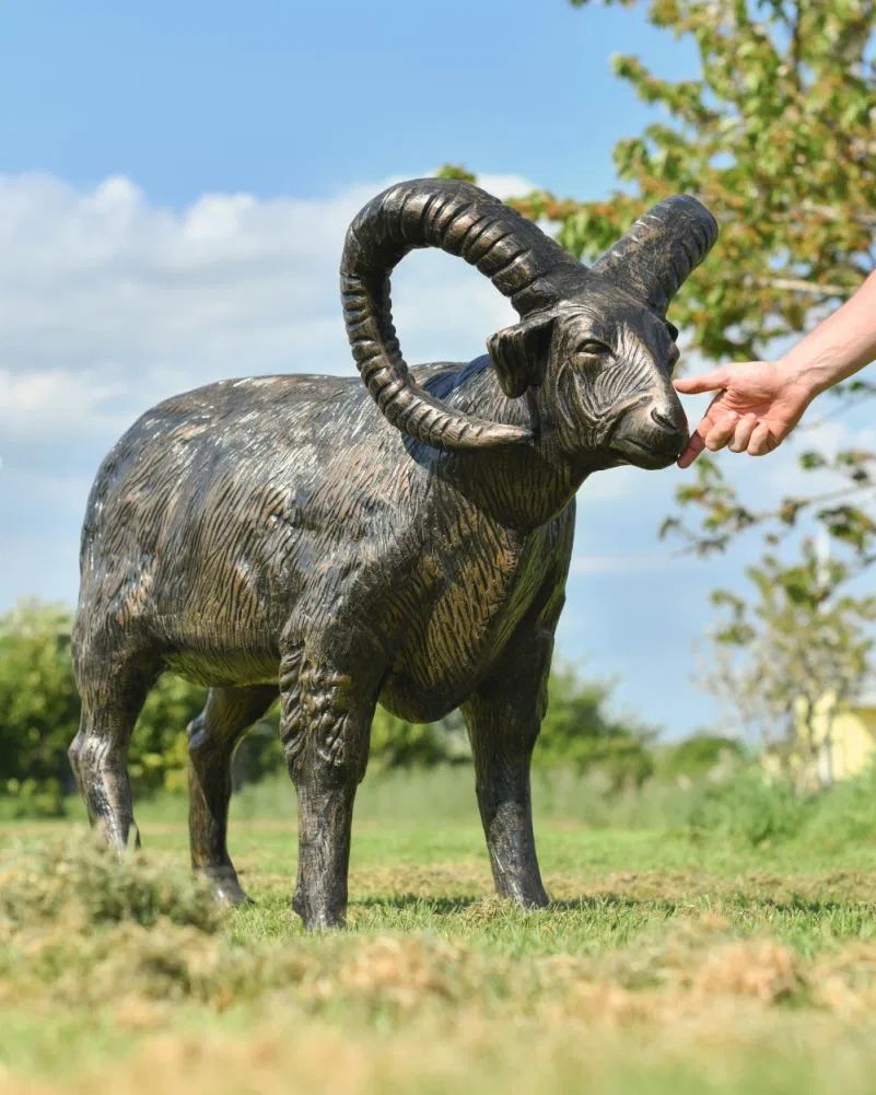 Scale image of Brushed Black and Gold "Barley" Standing Ram Sculpture 