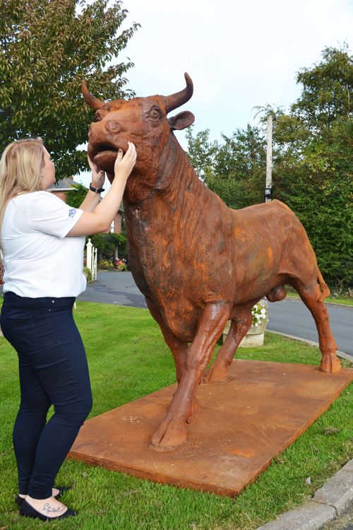 scale view bronze bull