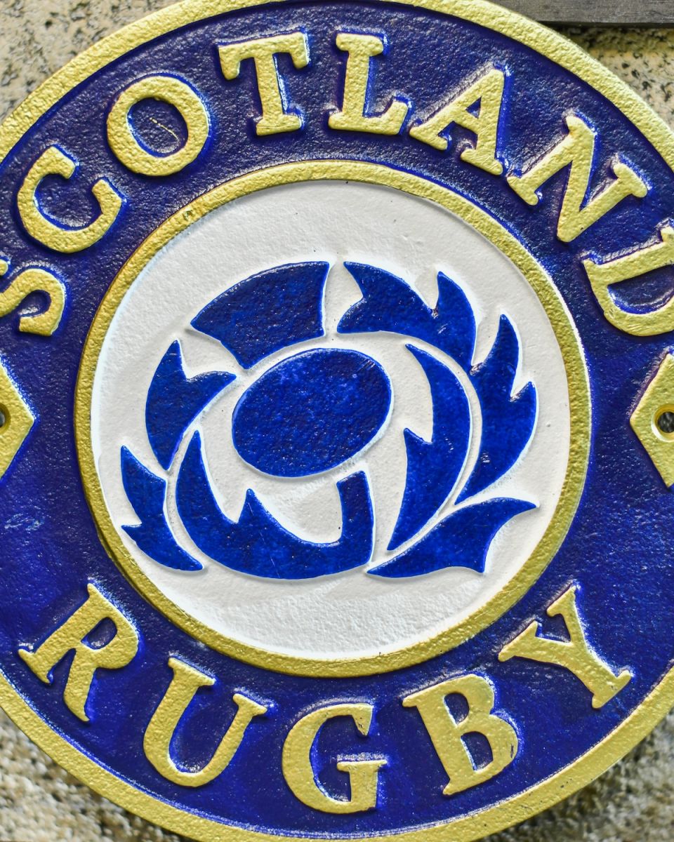 Close up of hand painted detail on scotland rugby wall art
