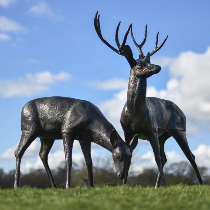 The Feeding Doe and Left Facing Stag in Situ