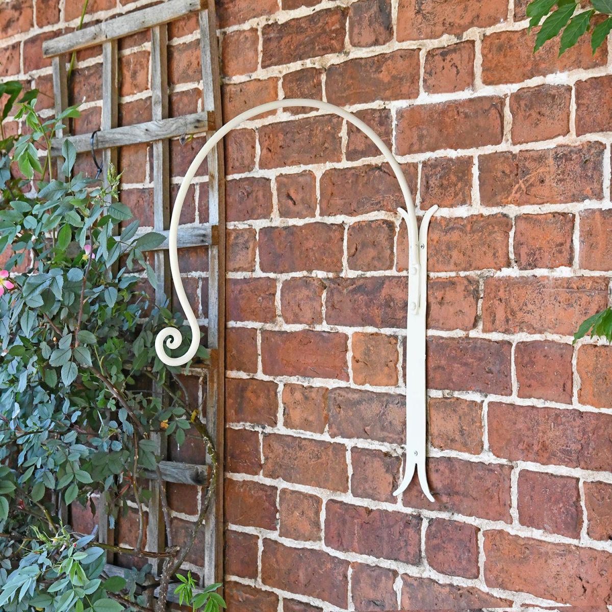"Shepherds Crook" Hanging Basket Wall Bracket in the Garden
