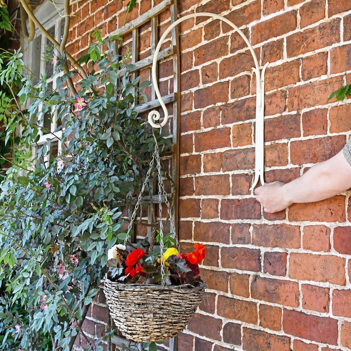 "Shepherds Crook" Hanging Basket Wall Bracket Holding a Flower Basket for Scale