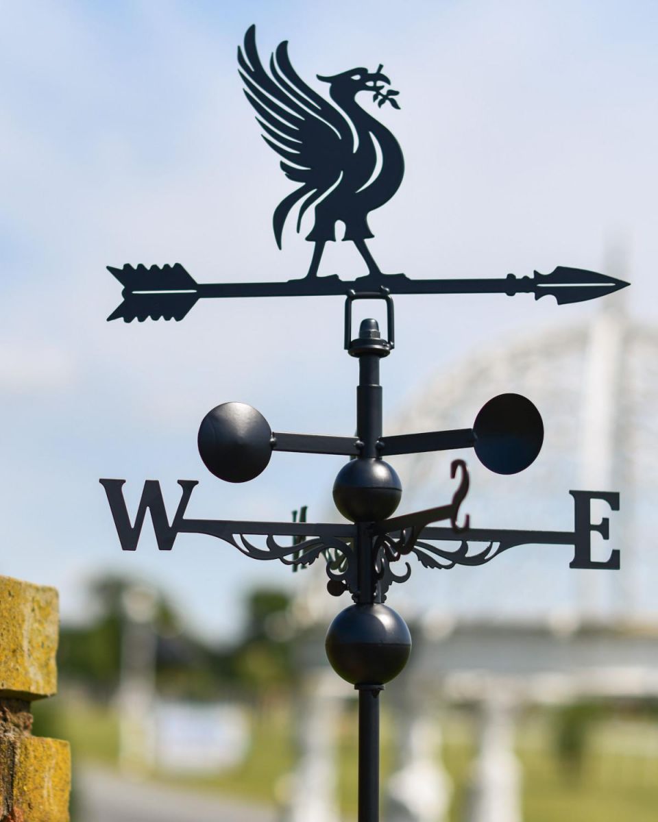 Close-Up of Liver Bird Topper for Slim Steel Weathervane