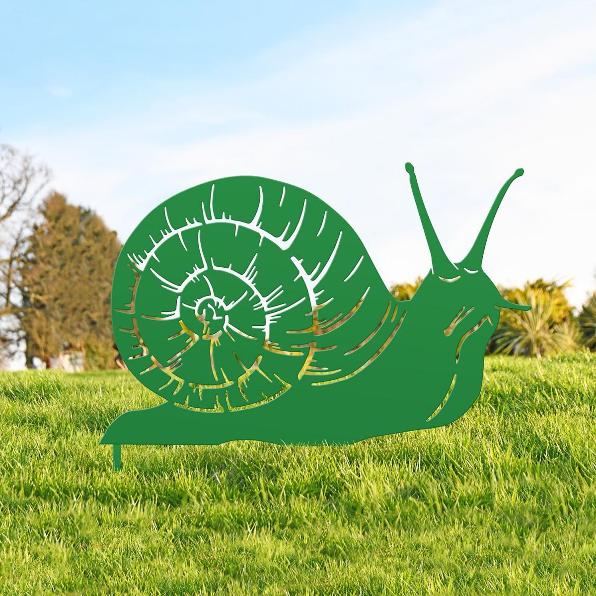Snail Silhouette in Situ
