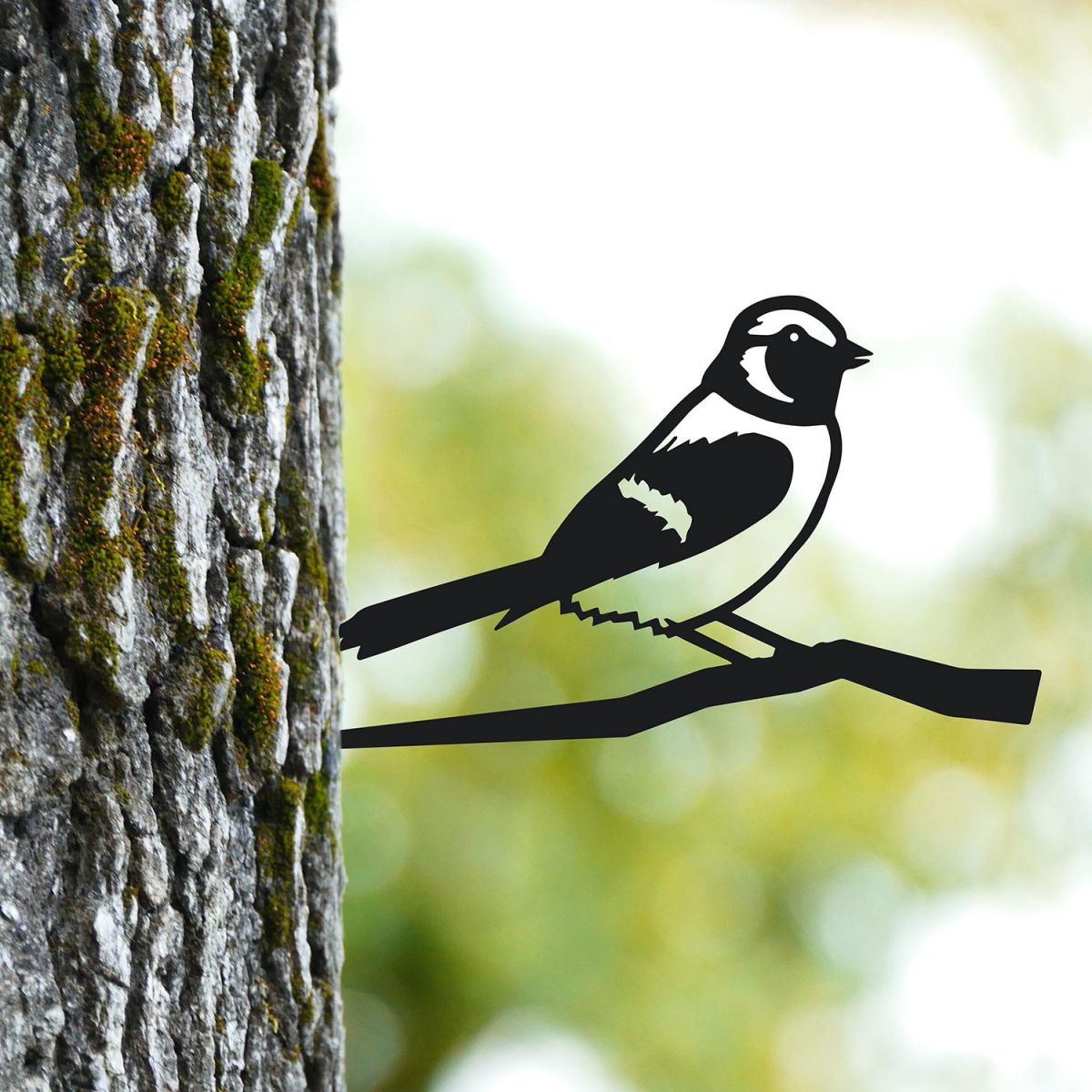 Sparrow Tree Spike on Situ on a Tree