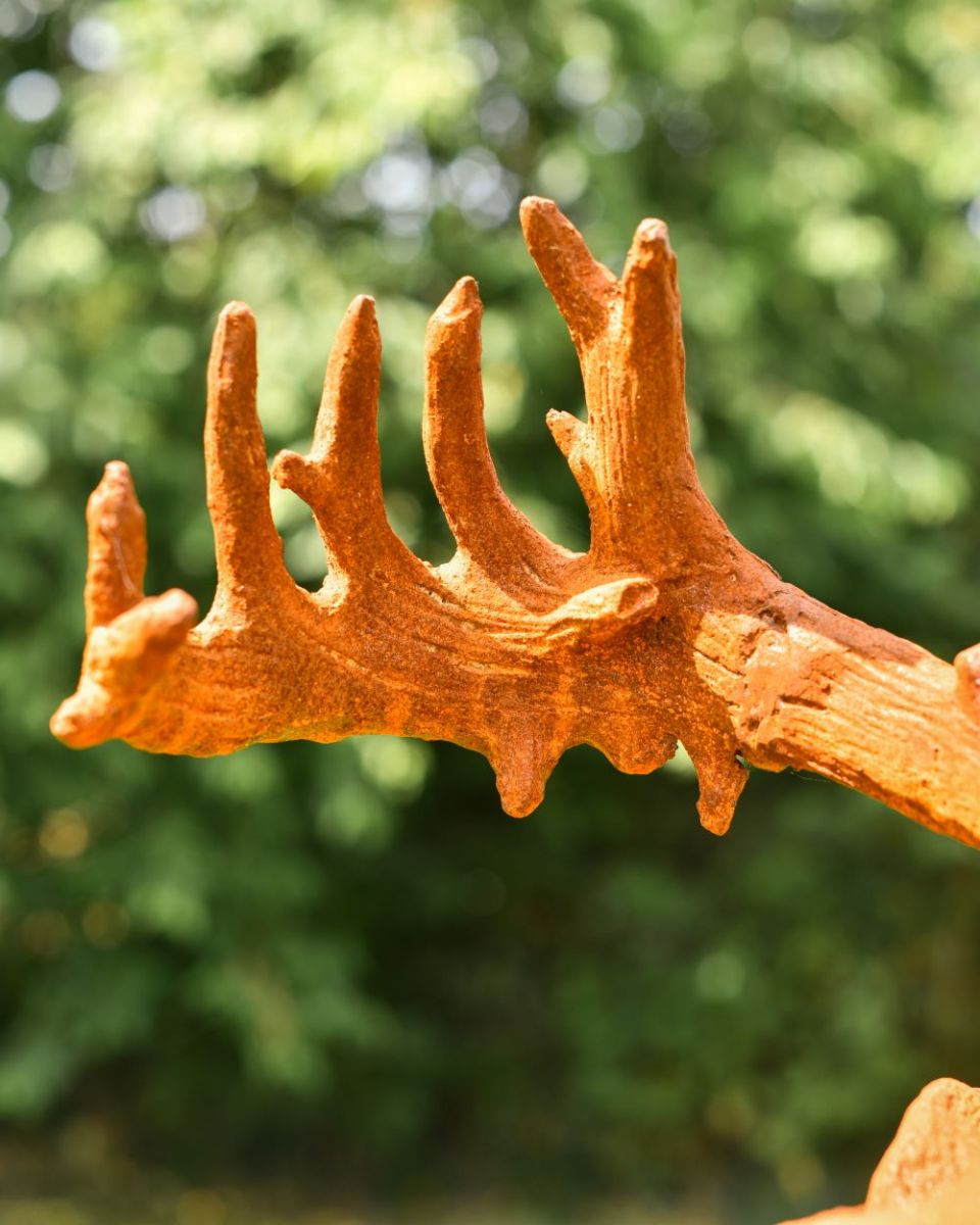 Close up of Stag Bust Antler