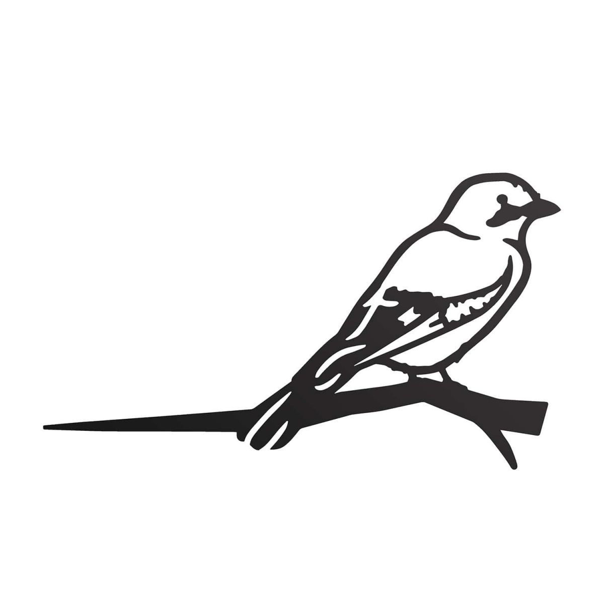 Close-Up of Steel Jay Bird Tree Spike - Black