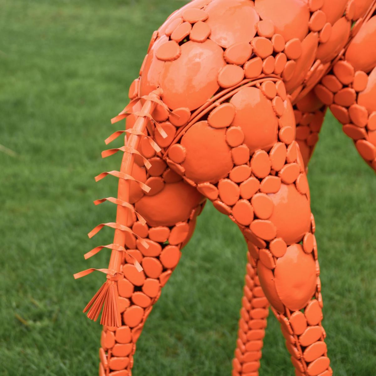 Close-Up of Rear
