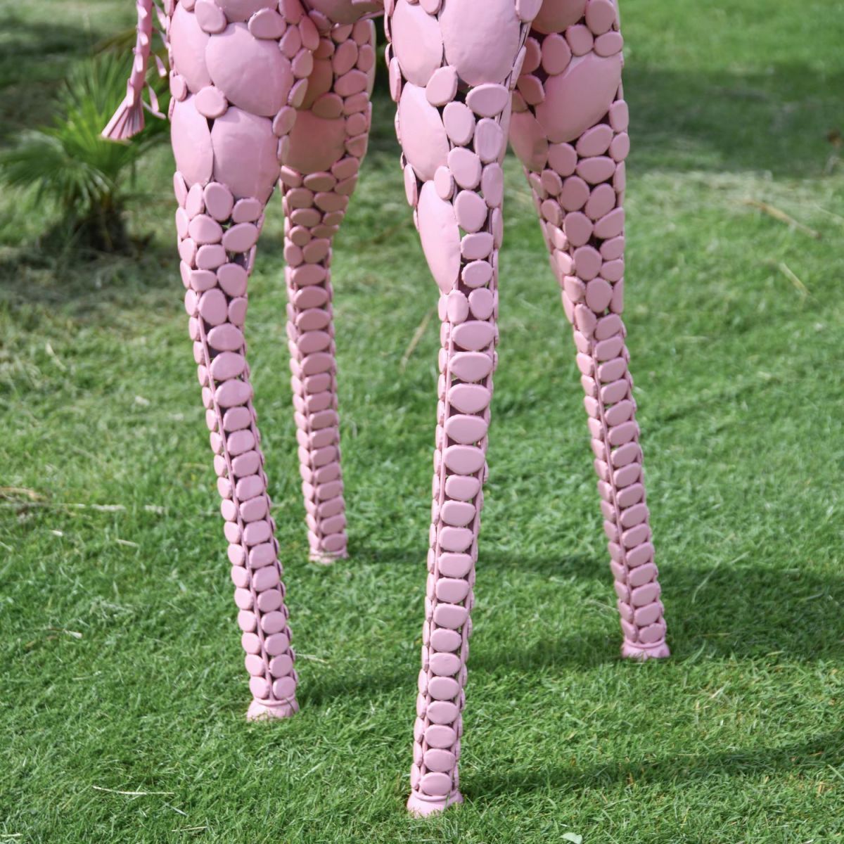 Close-Up of Feet