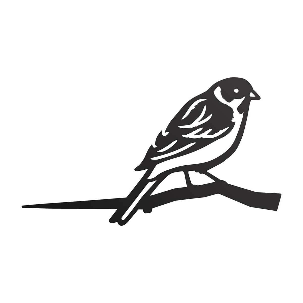 Close-Up of Steel Reed Bunting Tree Spike - Black