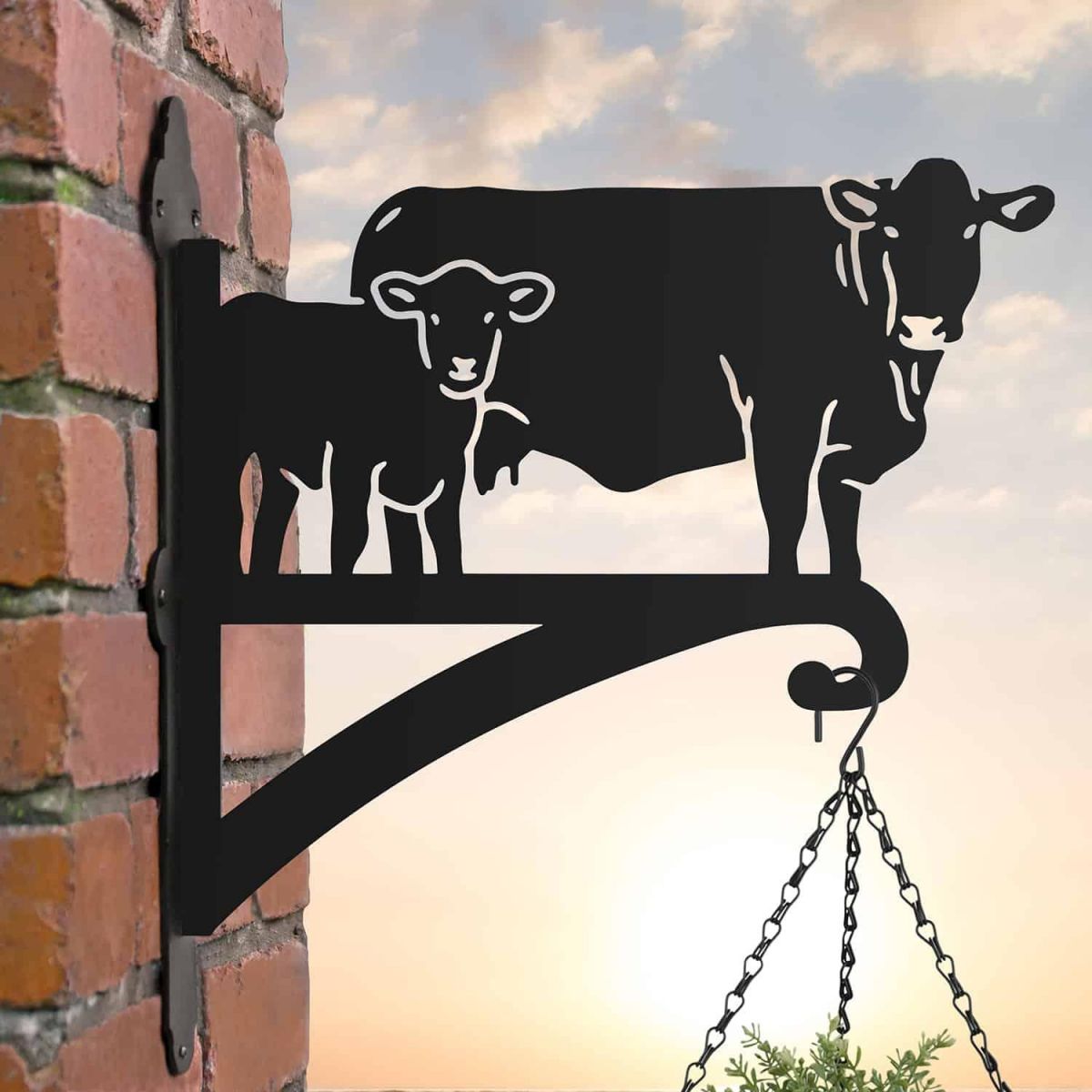 Steel South Devon & Calf Hanging Basket Bracket