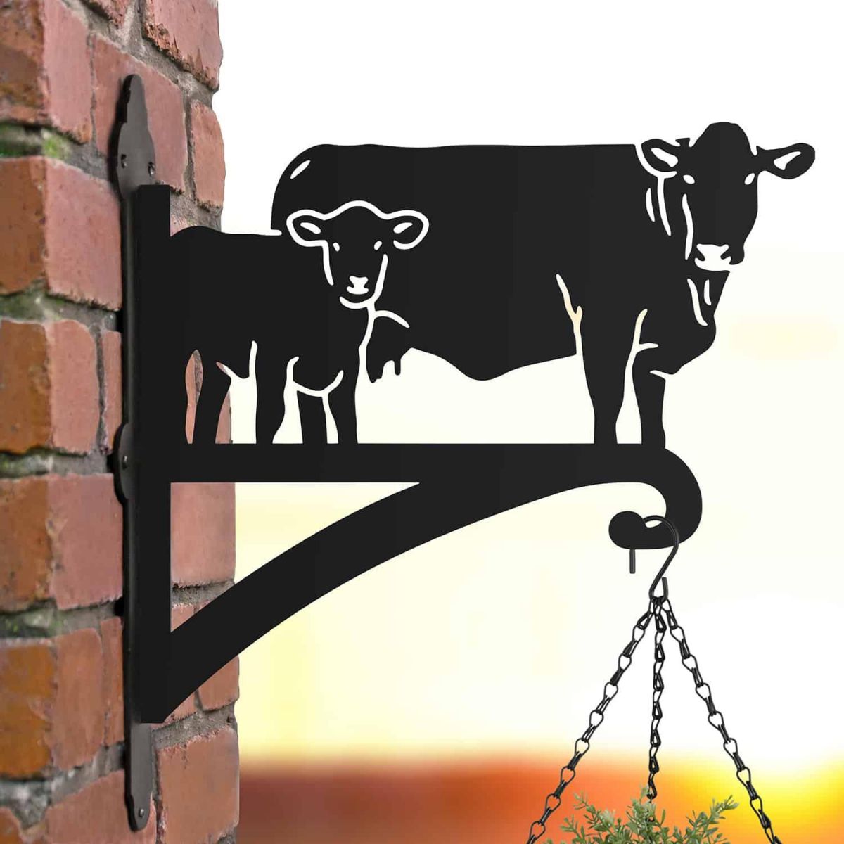 Steel Hanging Basket Bracket with South Devon & Calf Topper