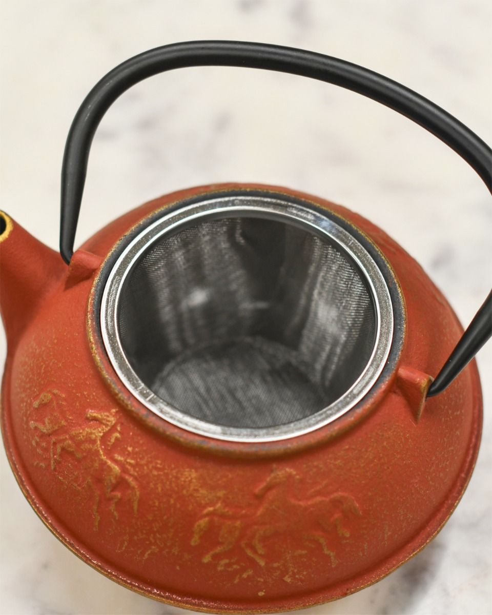 Metal Tea Infuser Inside Cast Iron Decorative Teapot