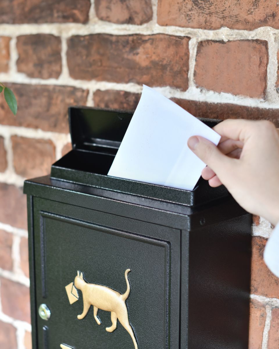 Letter Flap Of The Black Tabby Times Wall Mounted Post Box 