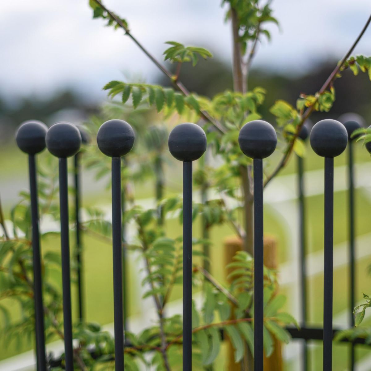 Close-Up of "Titan" Tree Guard - Black