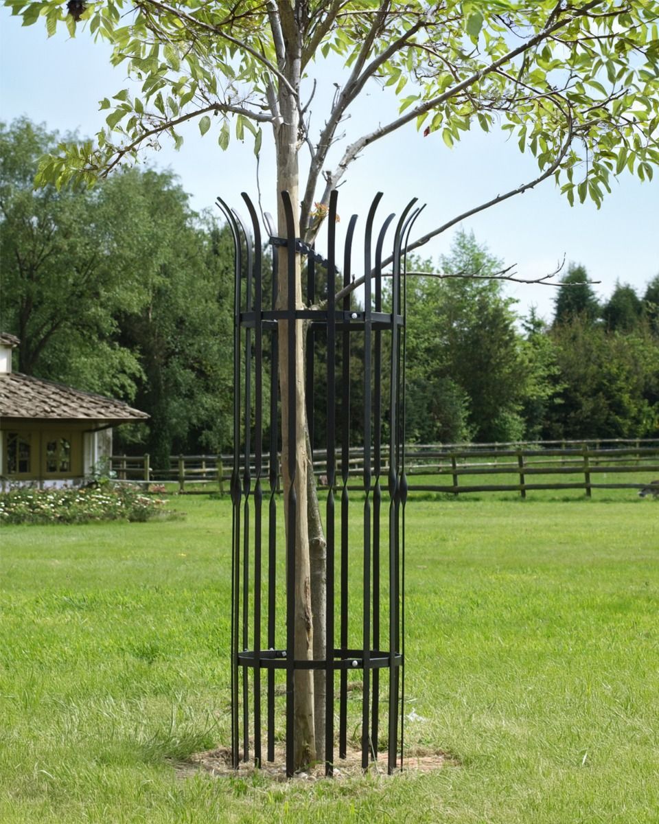 Robust Tree Guard With a Black Finish 