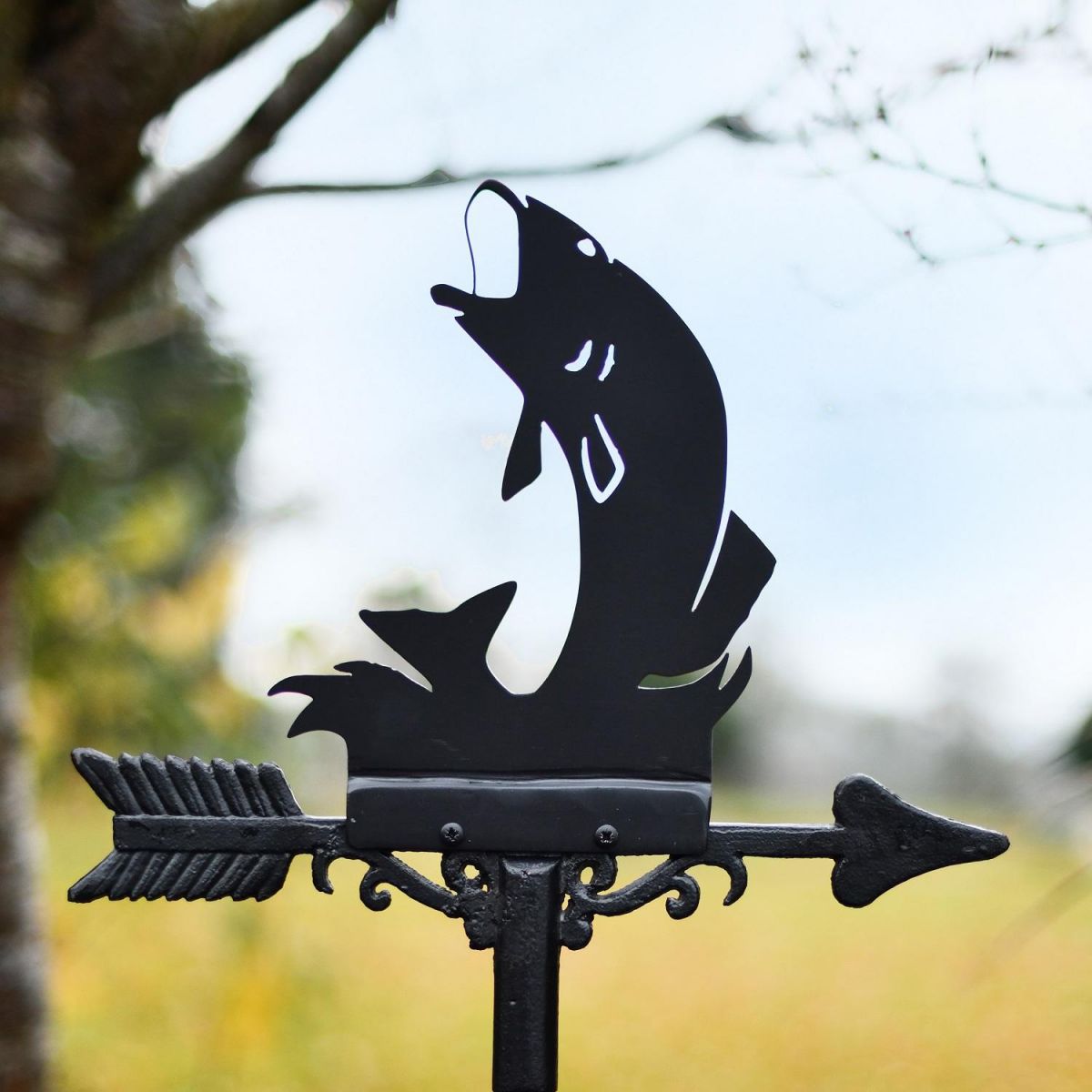 Fish Design on Weathervane 