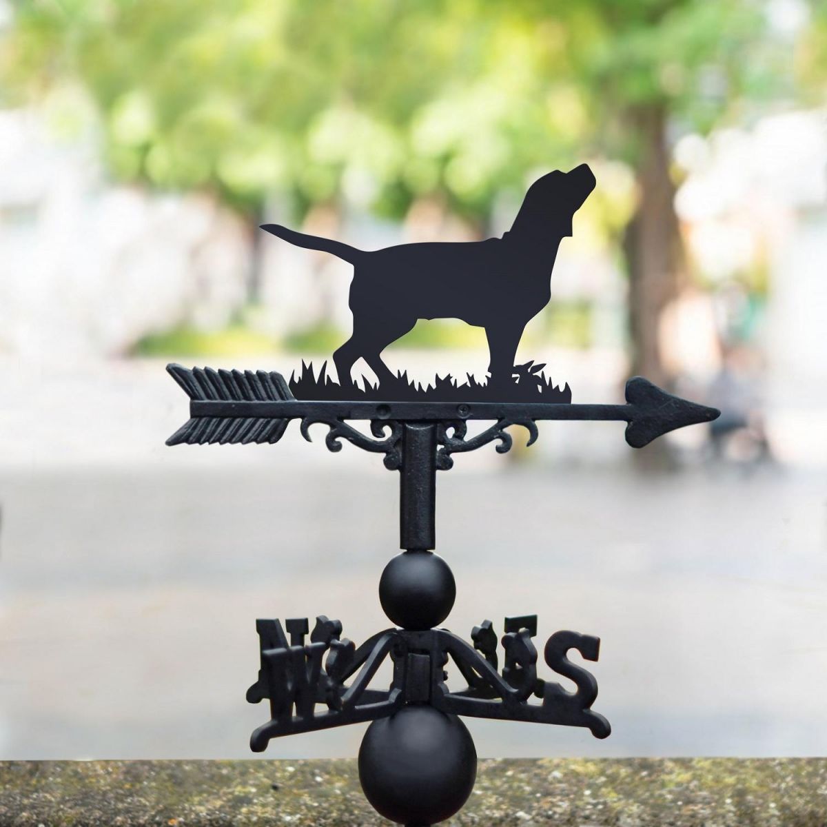 Beagle Weathervane in Situ 