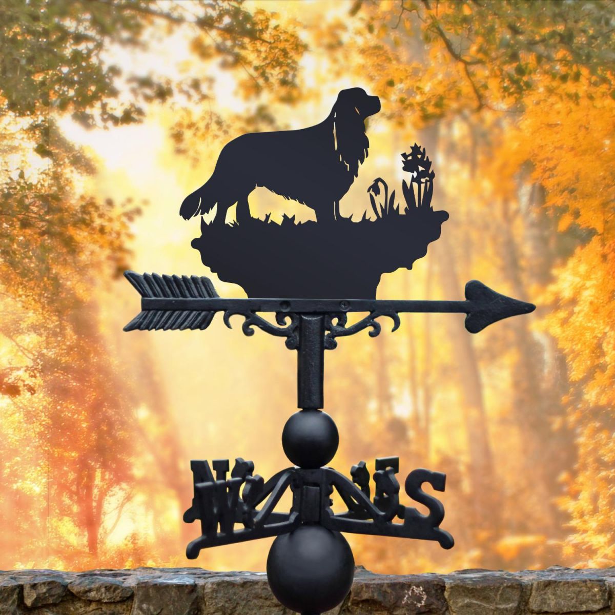 Weathervane with Cavalier King Charles Spaniel Topper