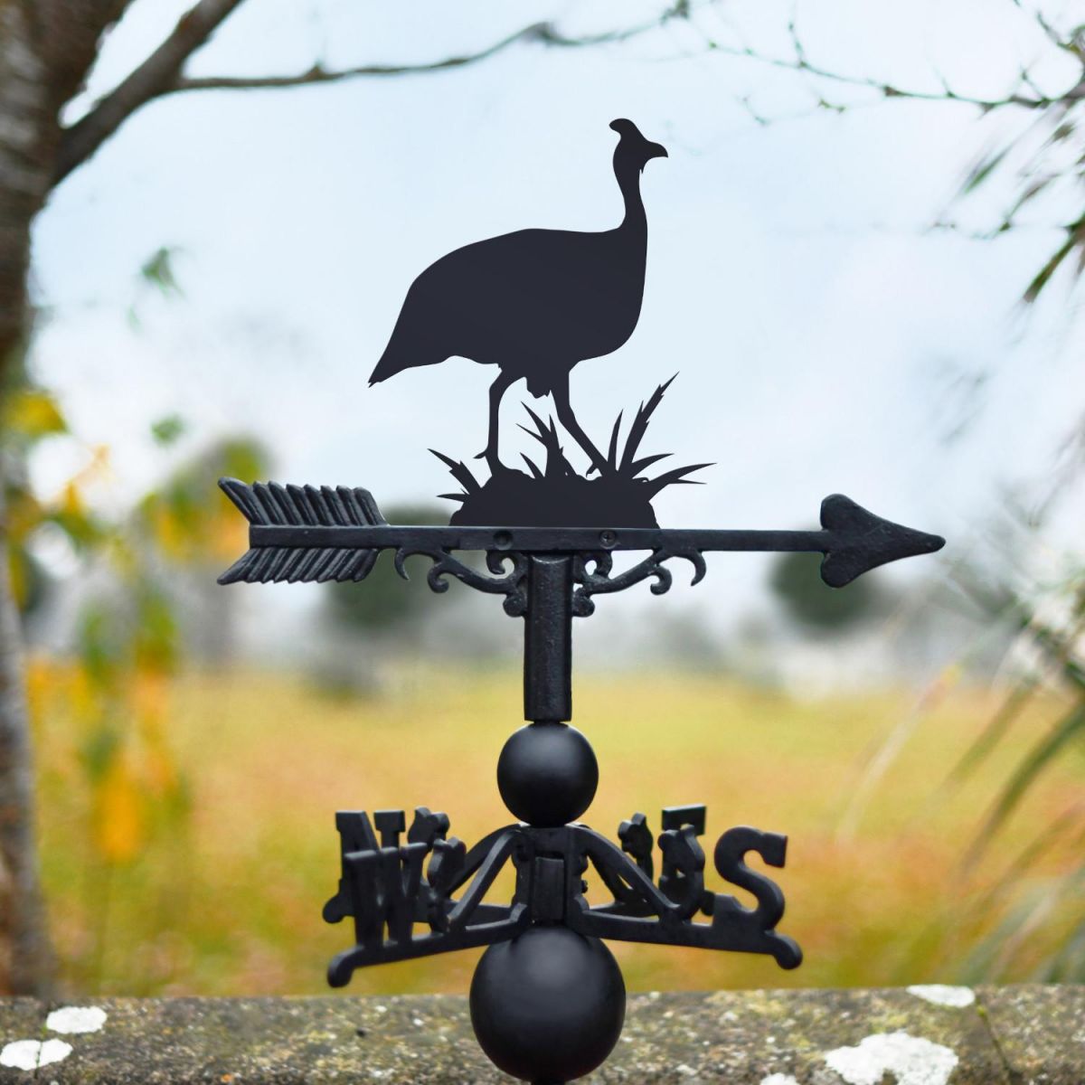 Guinea Fowl Weathervane in Situ